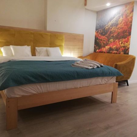 Bed and Breakfast U Zrodel Visla Exteriér fotografie
